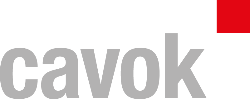 ElvisDAM Logo